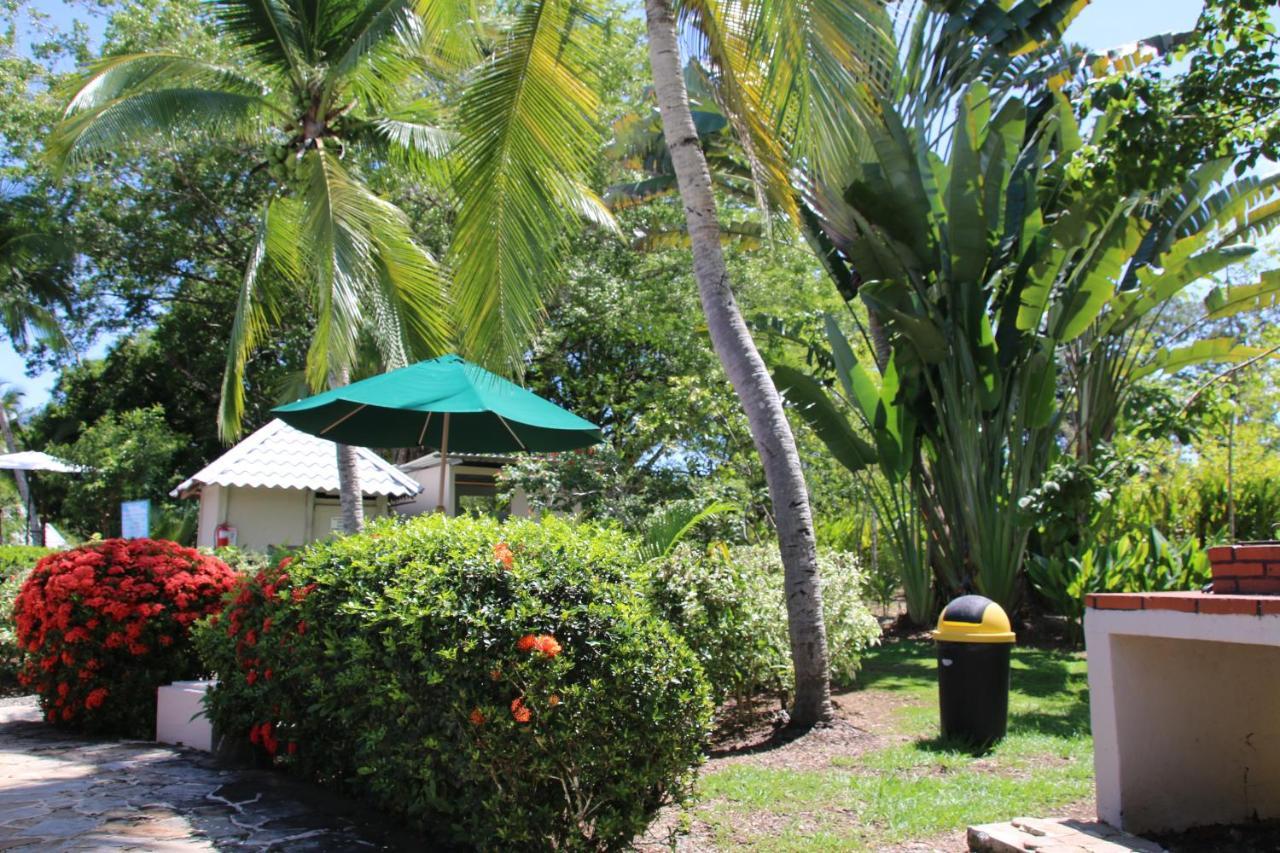 Tropical Bliss Pool Wi-Fi Bbq Near Quepos Manuel Antonio Apartamento Exterior foto
