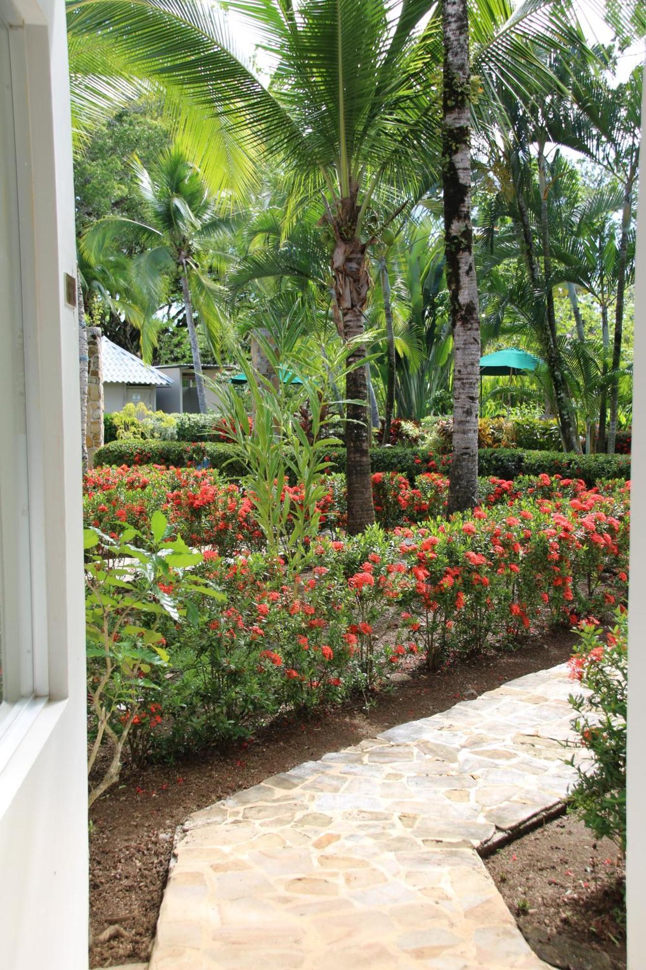 Tropical Bliss Pool Wi-Fi Bbq Near Quepos Manuel Antonio Apartamento Exterior foto